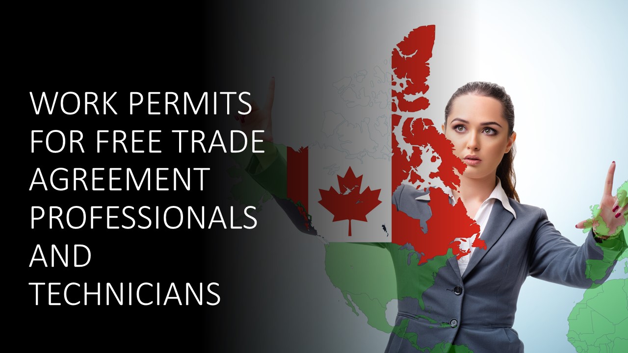 Read more about the article Work Permits for Free Trade Agreement Professionals and Technicians
