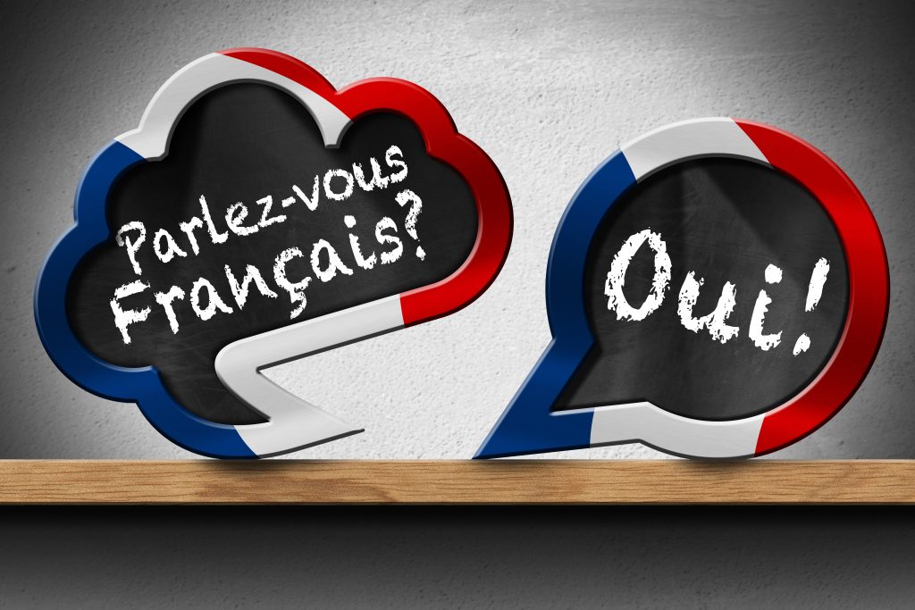 Read more about the article Canada plans to raise the immigration targets for francophone immigrants settling outside of Quebec