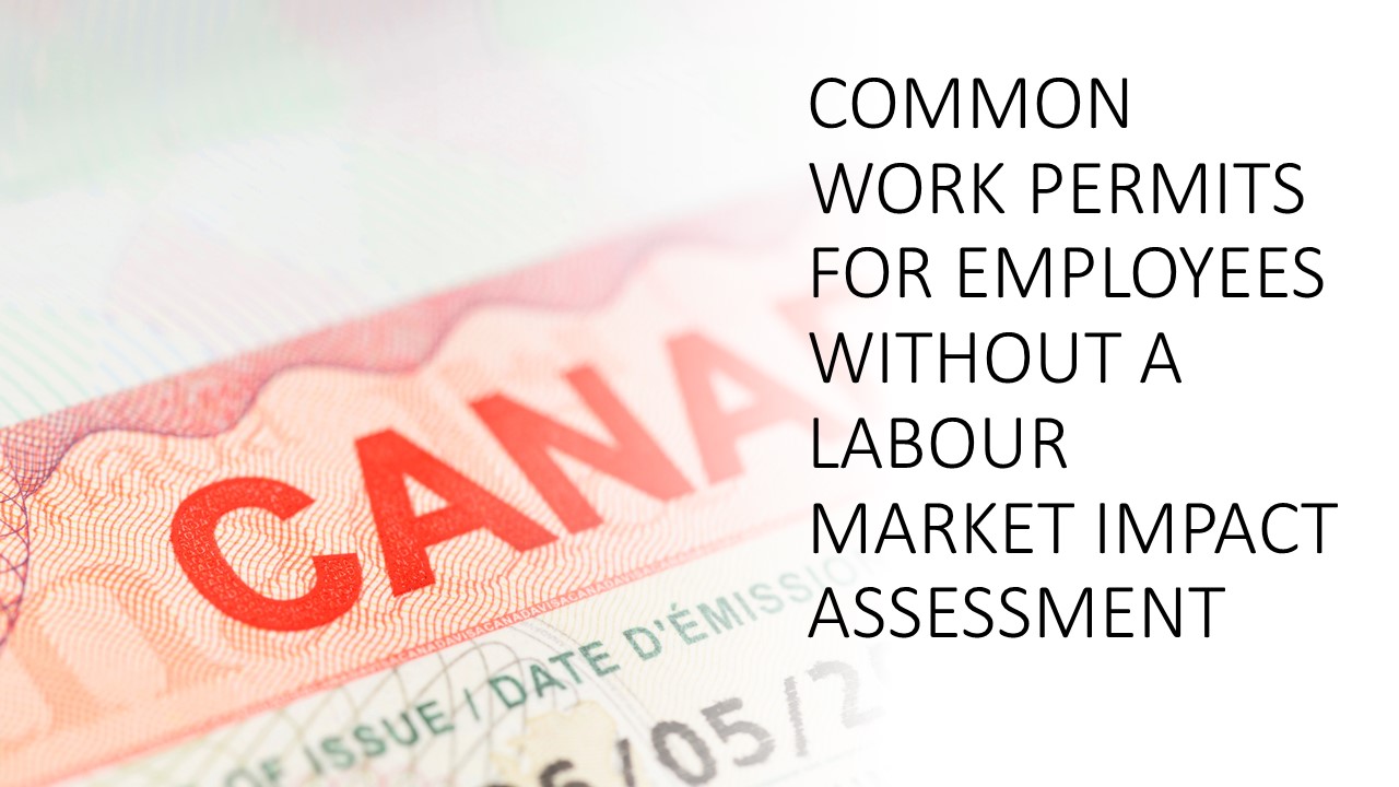 Read more about the article Common Work Permits for Employees Without a Labour Market Impact Assessment