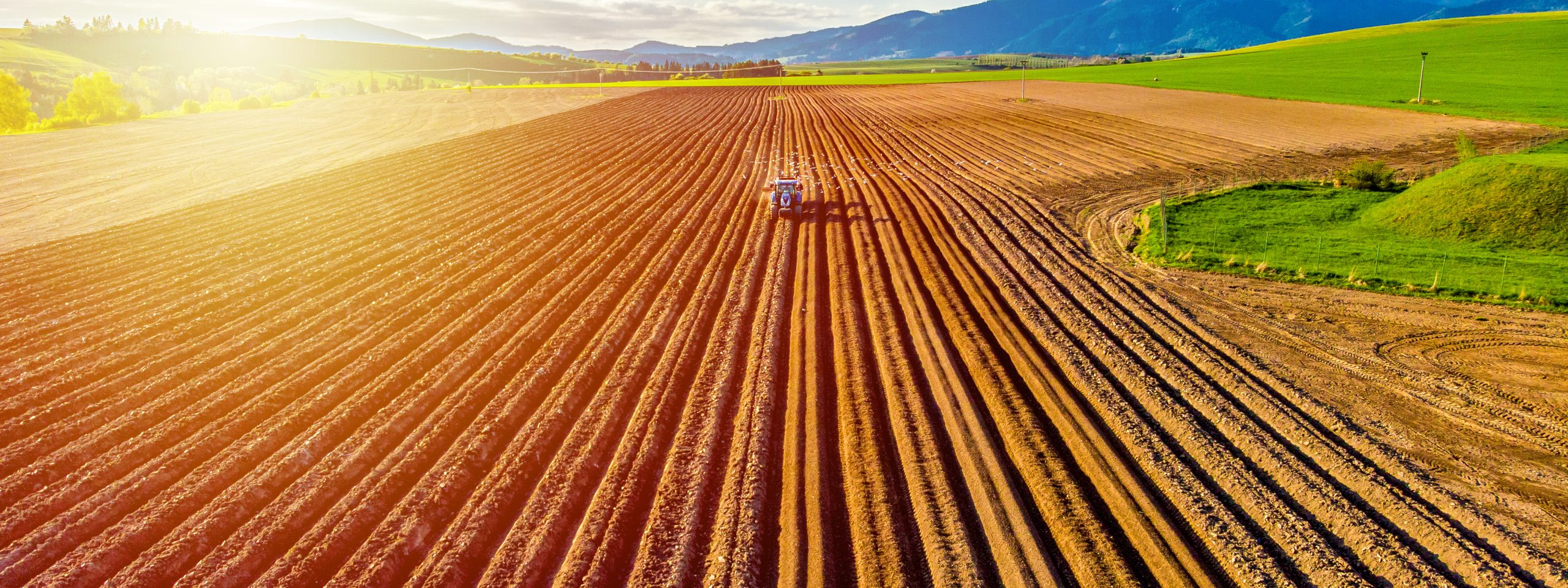 Read more about the article Canada announced a new update for the Agri-Food Pilot Program