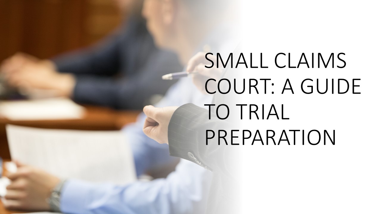 Read more about the article Small Claims Court: A Guide to Trial Preparation