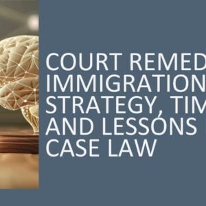 Court Remedies in Immigration: Strategy, Timing, and Lessons from Case Law 2026 (3 hours)